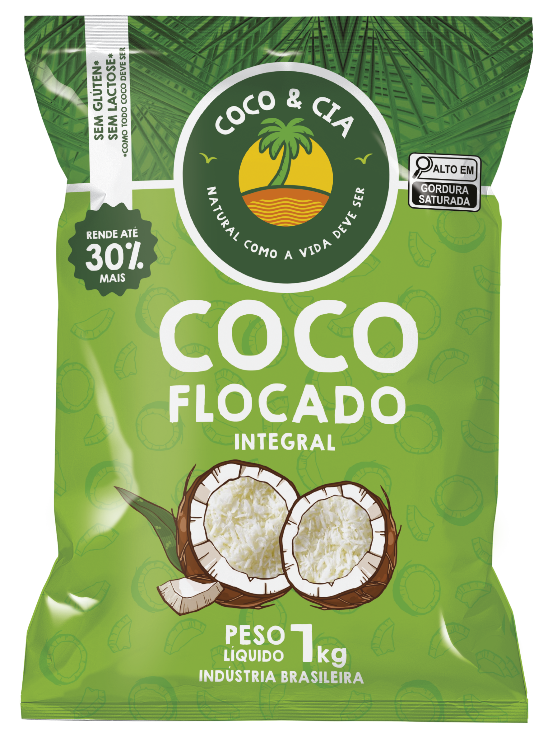 Coco Flocado Integral 1kg